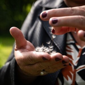 Artikel - Langzaam sterven of diepgaand veranderen