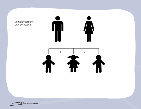 Plaats in het gezin - Dineke van Kooten