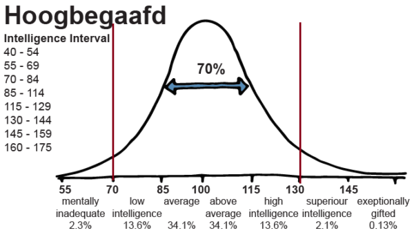 Hoogbegaafd en IQ - Dineke van Kooten