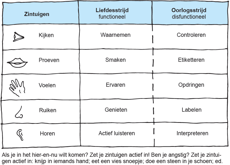 Zintuigen en liefde - Dineke Kooten